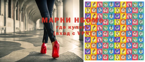 прущие грибы Усмань