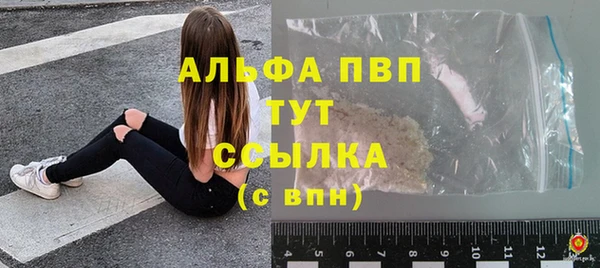 прущие грибы Усмань